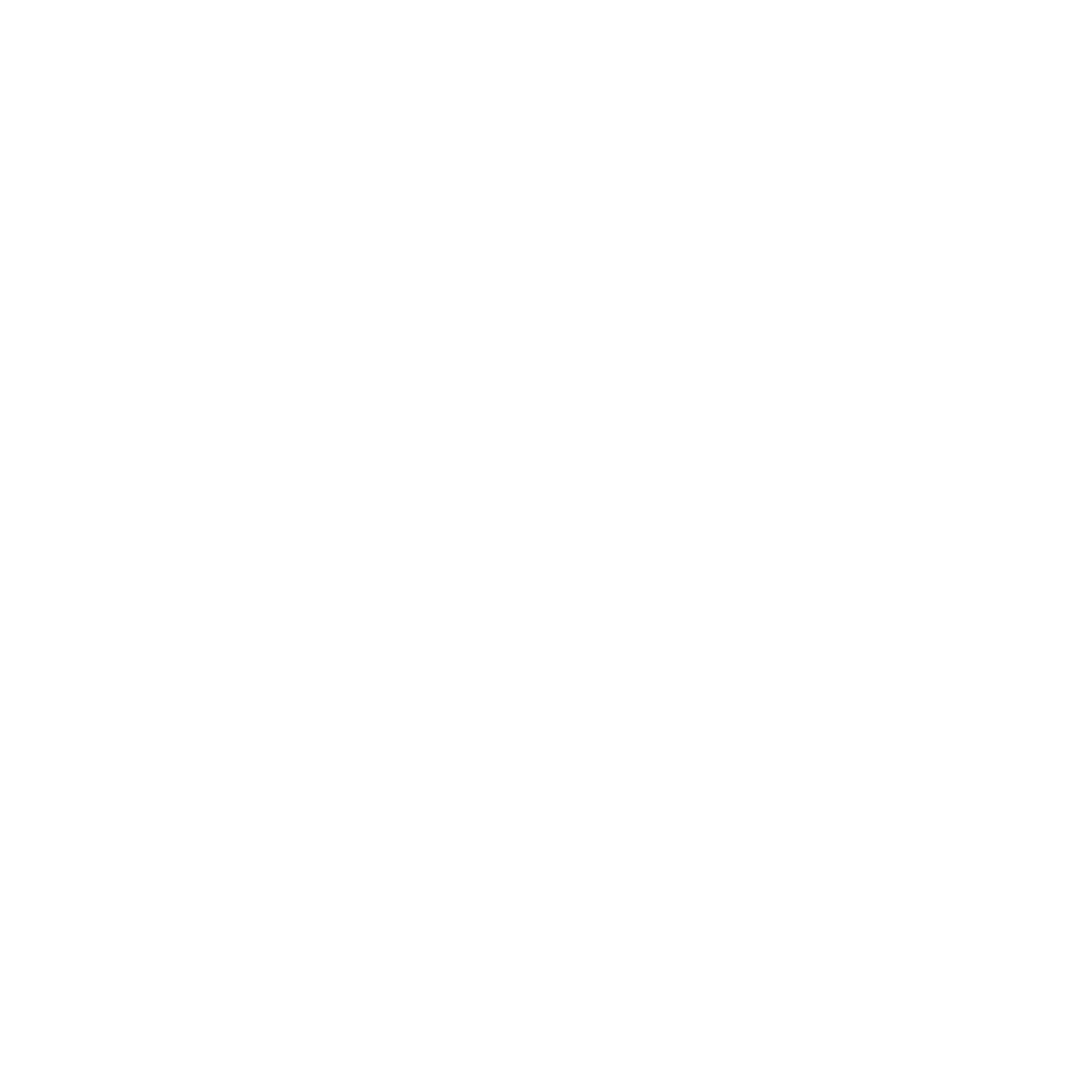Logo D1 Computer